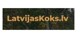 latvijaskoks.lv